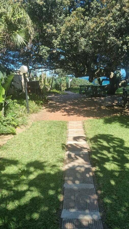 1 Cormoran * Durban
